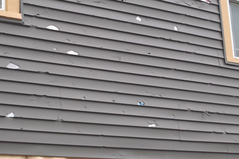 Siding Service in Douglas County, CO