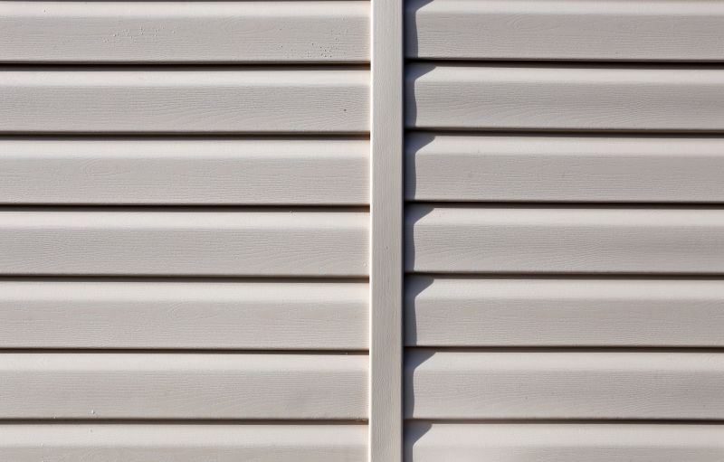 Vinyl Cladding Installation in Douglas County, CO